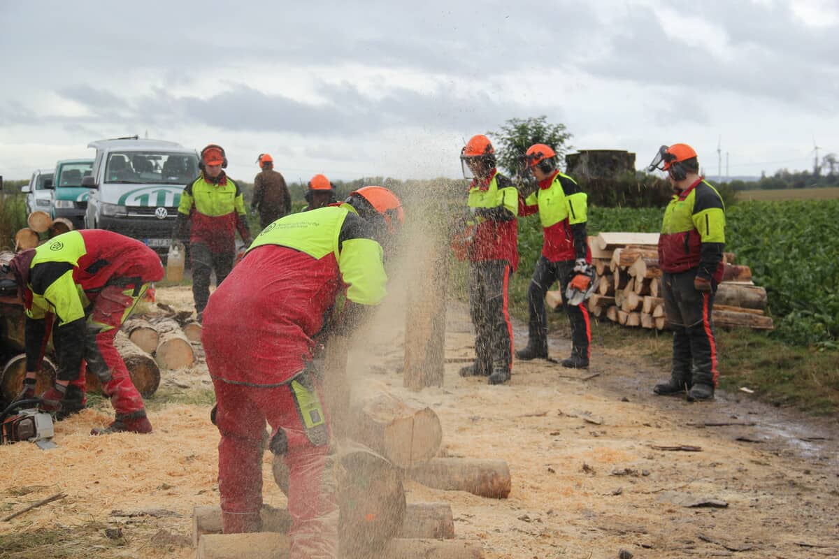 Stellenangebote Archive Niedersächsische Landesforsten
