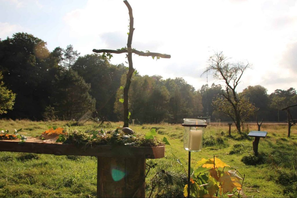 Walderlebnis Ehrhorn - Waldforum Riddagshausen