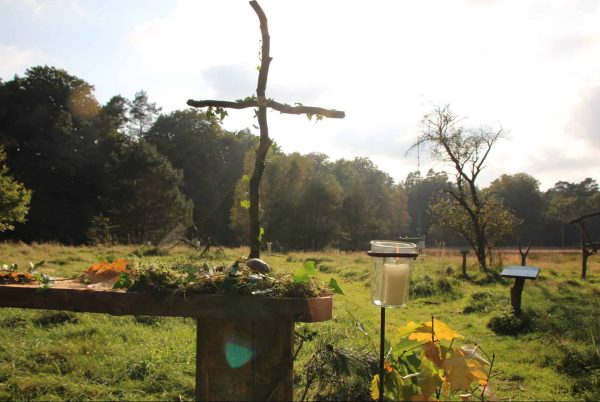 Walderlebnis Ehrhorn - Waldforum Riddagshausen