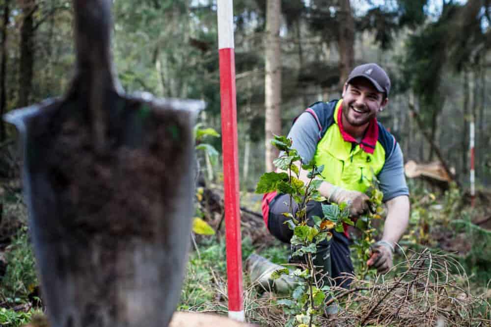 Nachhaltig und umweltschonend