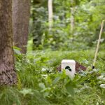 Bestattungsinstitut Mertens - Naumburg