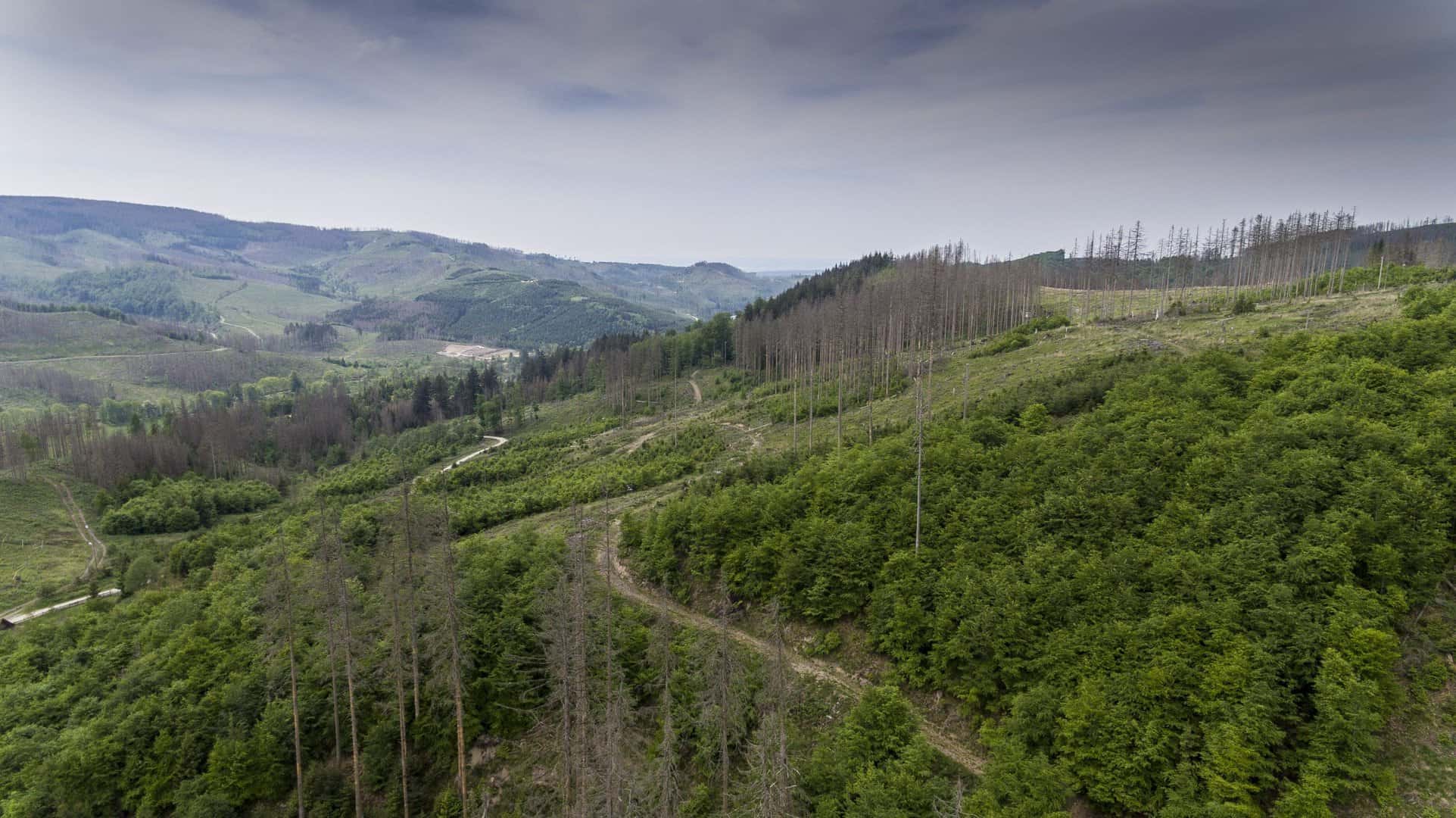 WACHSEN Hugel 大阪受渡 BSS-70X WACHSEN700C Hugel BSS-70X WACHSEN