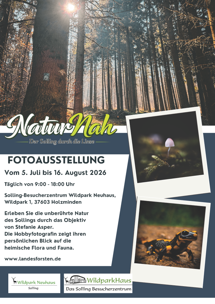FotoausstellungDruck