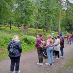 Besuchergruppe im Wildpark Neuhaus