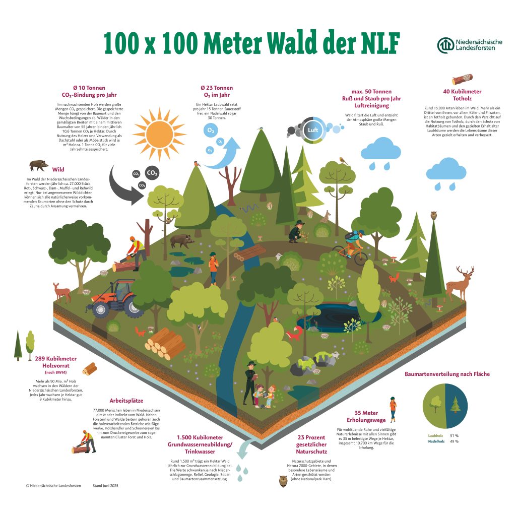 nlf_1ha_1000x1000_druck