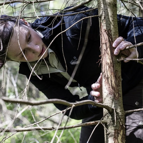 Der Wald zeigt, ob die Jagd stimmt.