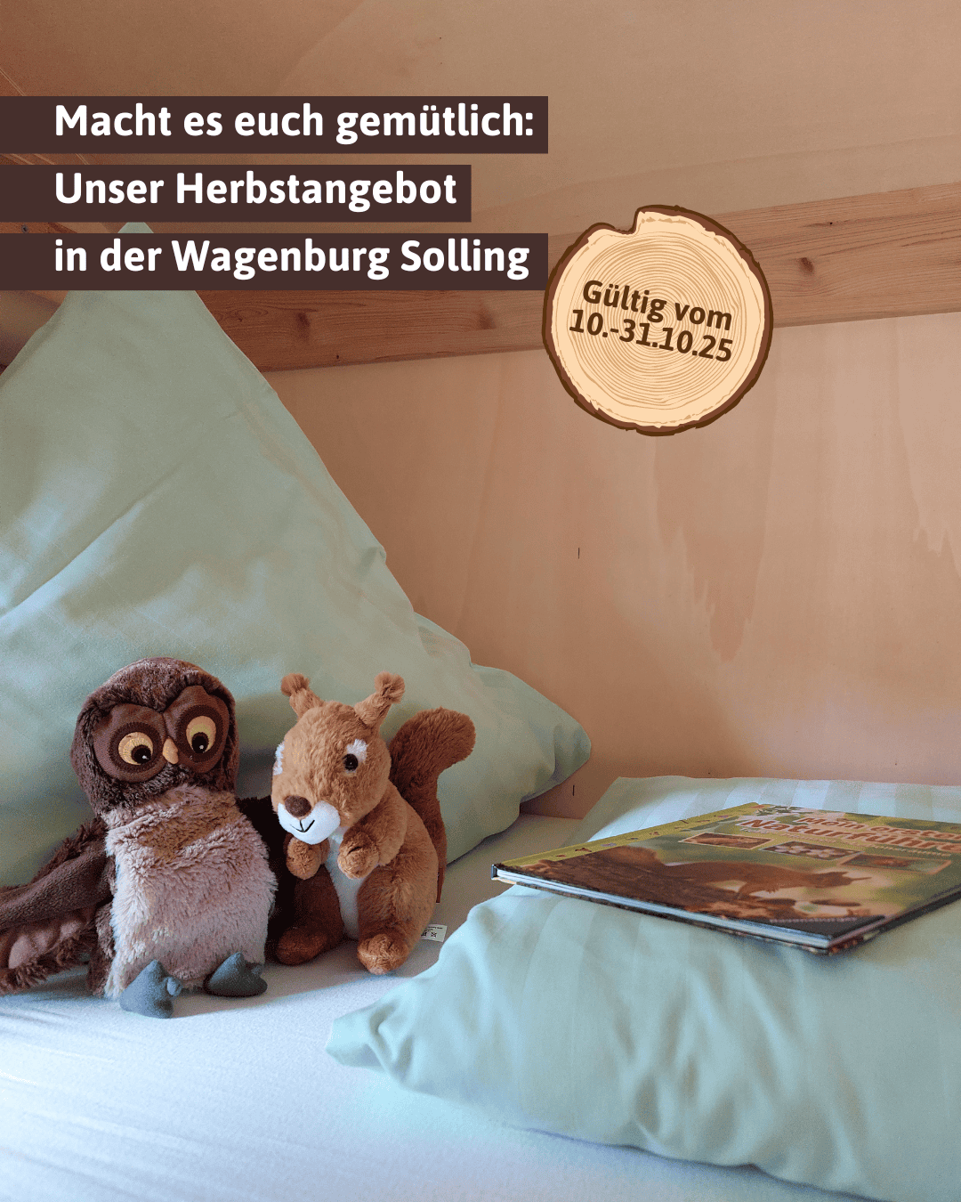 herbstangebot herbstangebot