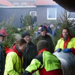 Das Forstamtsteam berät bei der Suche und hilft beim Verpacken und Verladen hilft bei