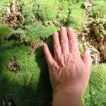 Bildrechte: Andrea Dageförde