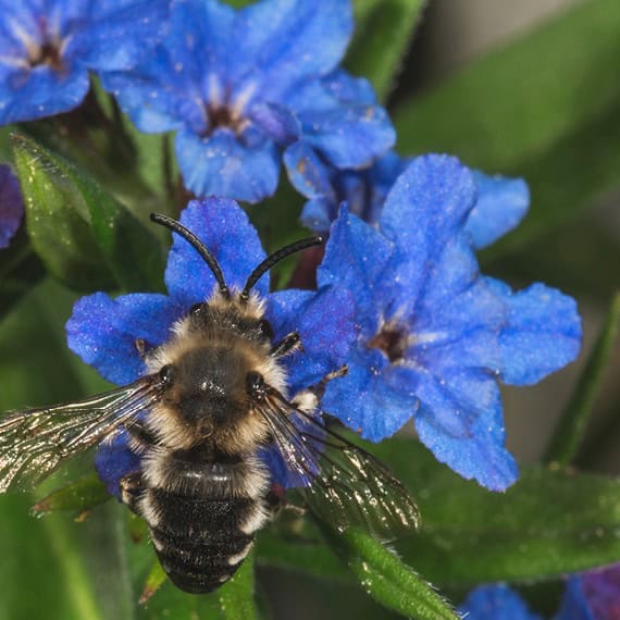 Farben der Natur/ Natur der Farben