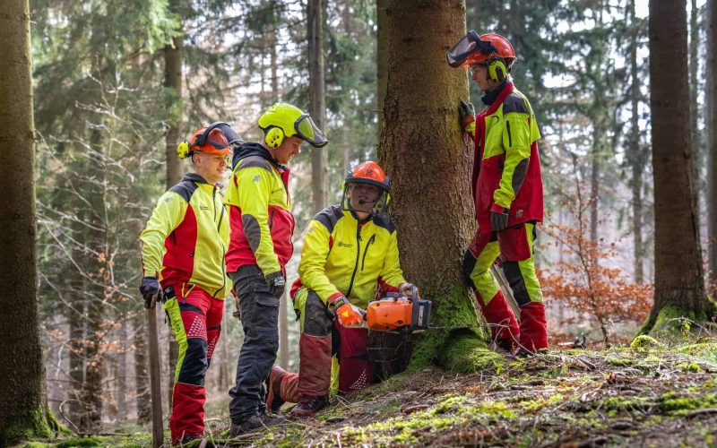 Bilder Azubis Saupark