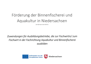 hinweis-foerderung-azubi-fischwirt hinweis-foerderung-azubi-fischwirt