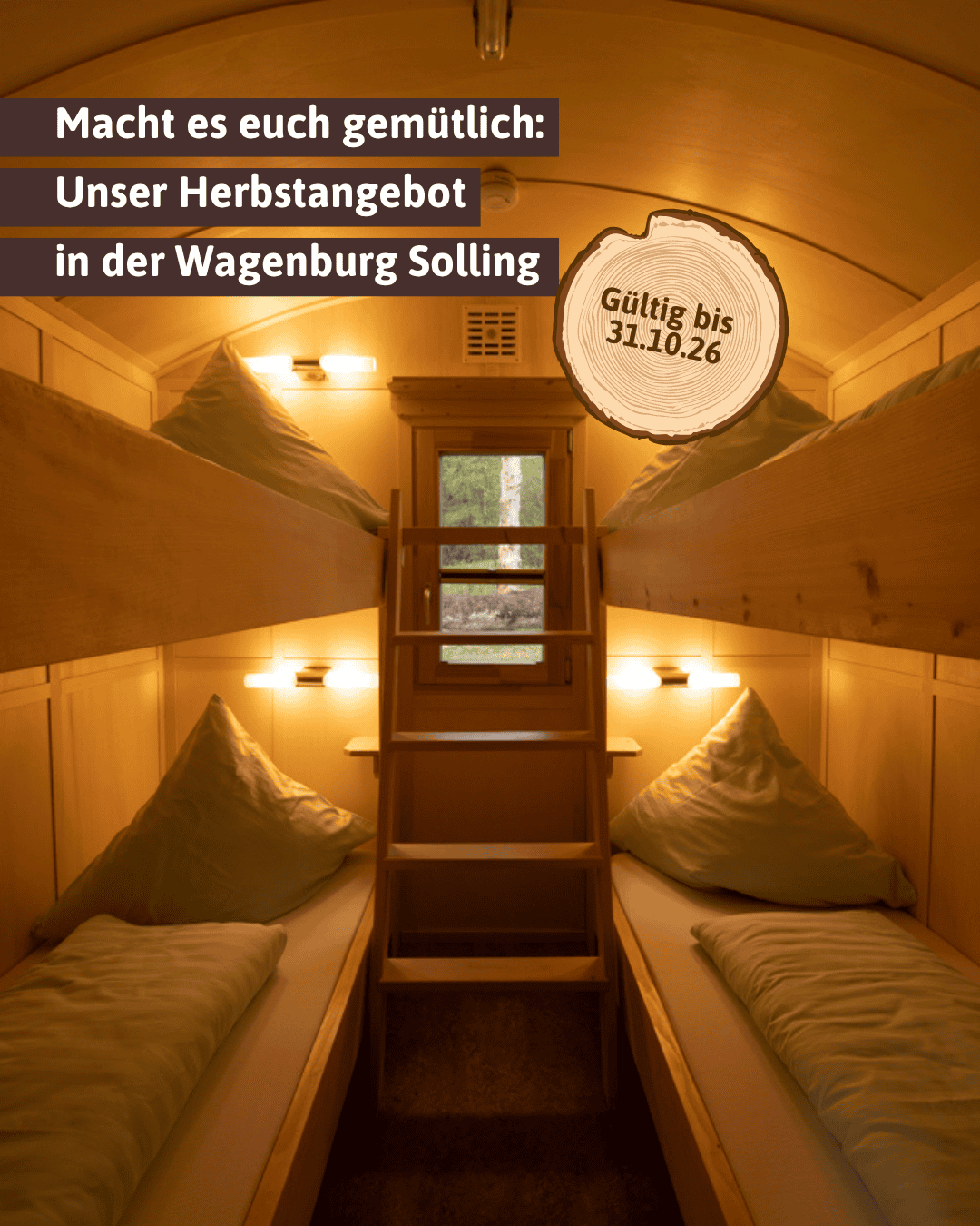herbstangebot herbstangebot