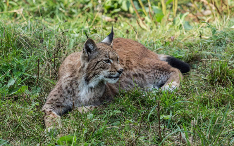 2013-09-04-um-17-31-05