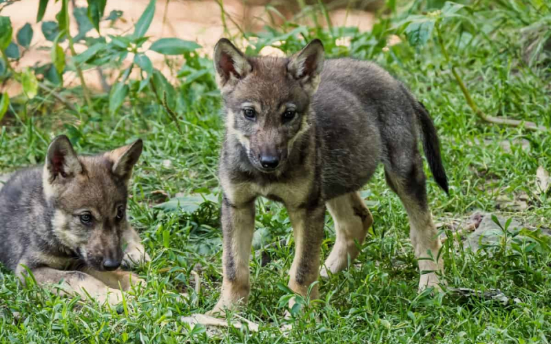 2018-06-29-um-17-39-43