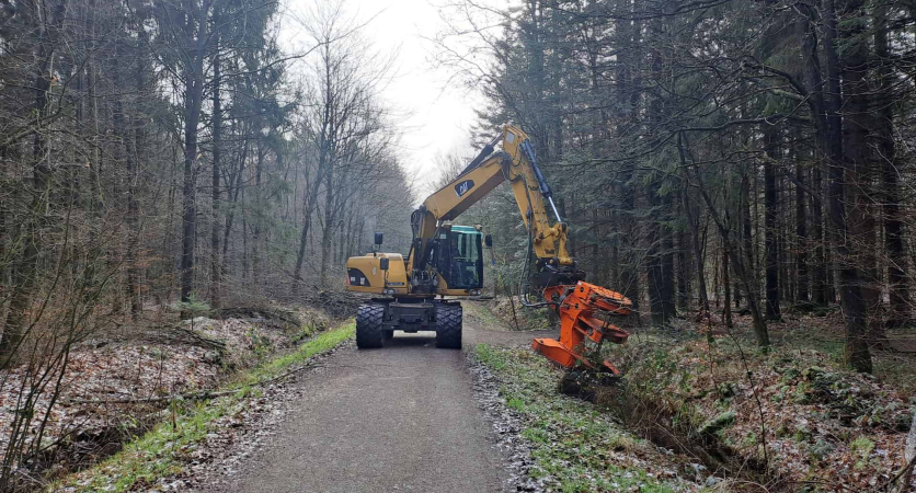 Luft und Licht beugen vor - Niedersächsische Landesforsten