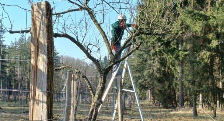 Grauer Kasten am Straßenrand – er hat eine wichtige Funktion