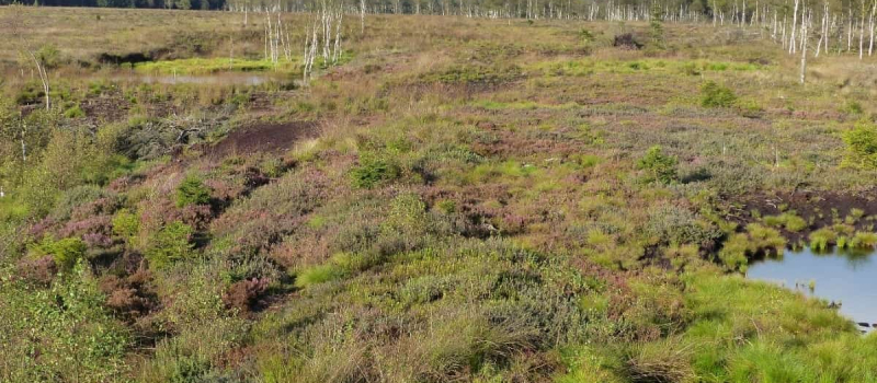 3erslider_mecklenbruch