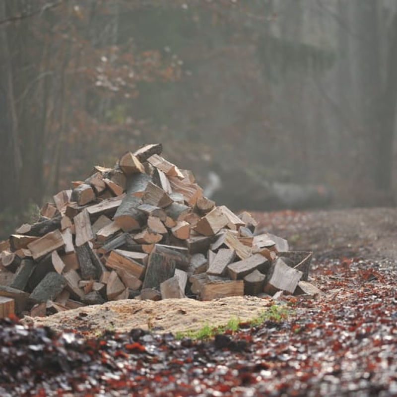 fertig gehacktes Brennholz