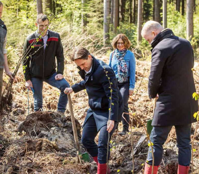 Forstamt - Rotenburg - Niedersächsische Landesforsten