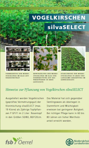 silvaselect