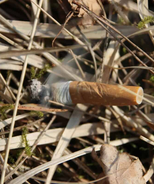 zigarettenkippe-im-trockenen-gras